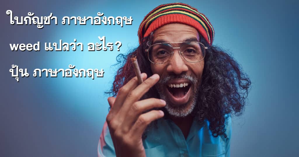 ใบกัญชา ภาษาอังกฤษ, weed แปลว่า อะไร, ปุ้น ภาษาอังกฤษ