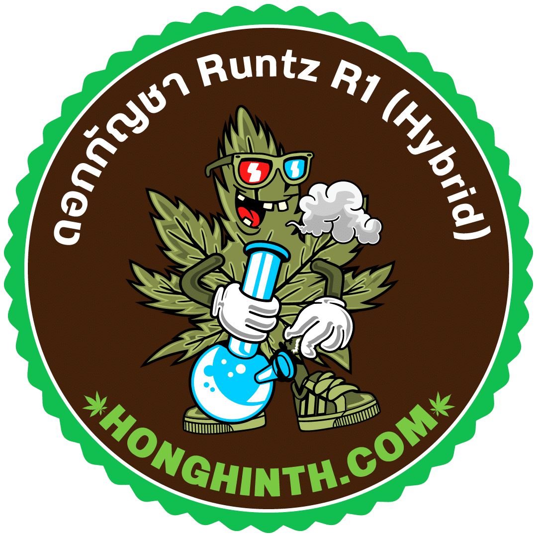 Runtz R1 (Hybrid)