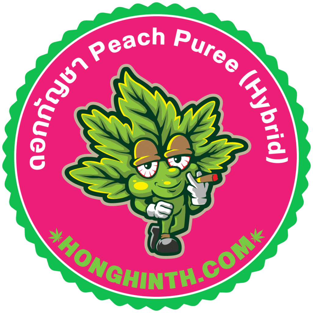 Peach Puree (Hybrid)